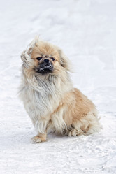 Similar image 13274073