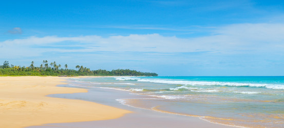 Similar image 13277211