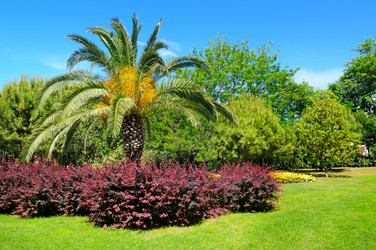 Similar image 13277220