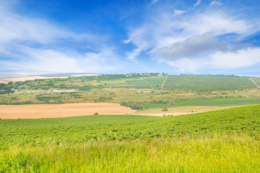 Similar image 13277221