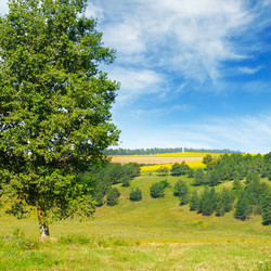 Similar image 13277236