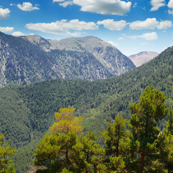 Similar image 13277239