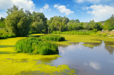 Similar image 13277514