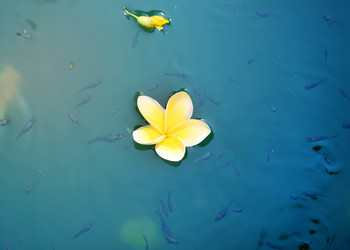 Similar image 13283062