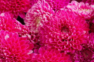 Similar image 13281606