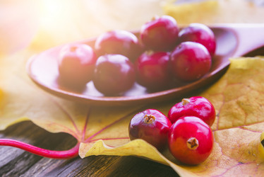 Similar image 13274100