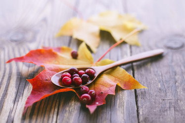 Similar image 13274124