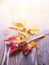 Similar image 13274125