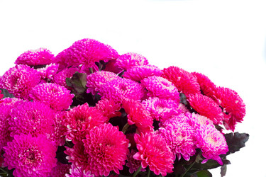 Similar image 13281620