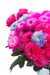 Similar image 13281627