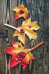 Similar image 13274126