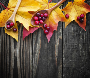 Similar image 13274127