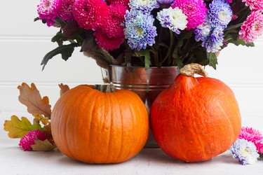 Similar image 13281761