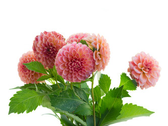 Similar image 13281763