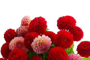 Similar image 13281764