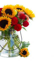 Similar image 13281726