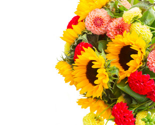 Similar image 13281728