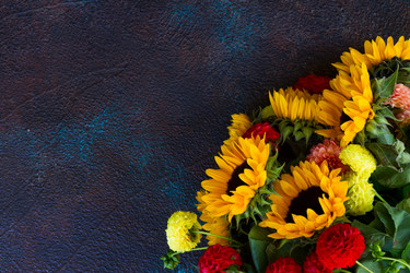 Similar image 13281729