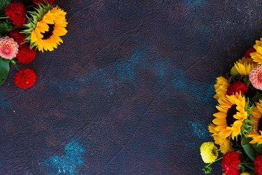 Similar image 13281731