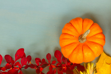 Similar image 13281801