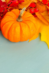 Similar image 13281803