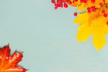 Similar image 13281805