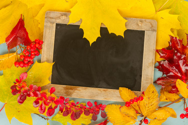 Similar image 13281808