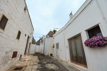 Similar image 13278897