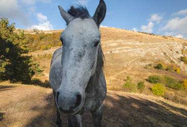 Similar image 13274275