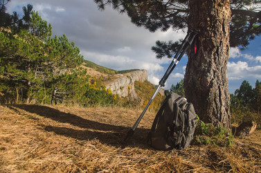 Similar image 13274276