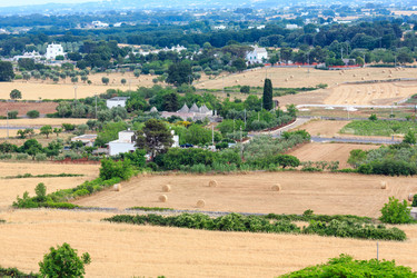 Similar image 13278926