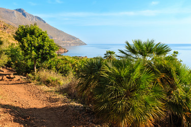 Similar image 13278946