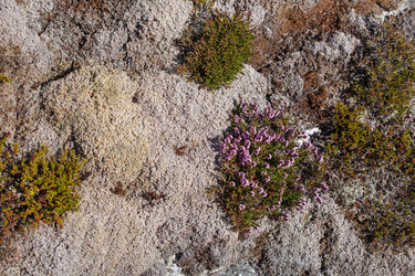 Similar image 13281387