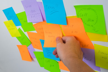 Similar image 13281503