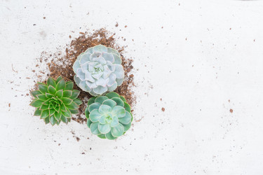 Similar image 13281504