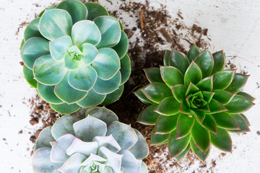 Similar image 13281604