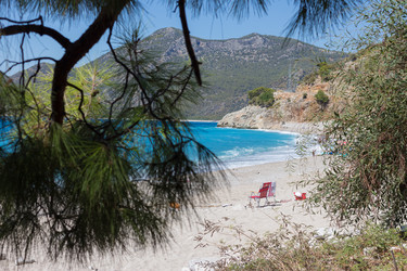 Similar image 13275591