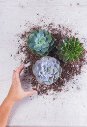 Similar image 13281702