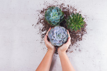 Similar image 13281518