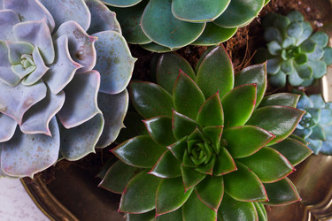 Similar image 13281519