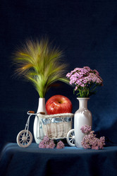 Similar image 13271245