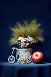 Similar image 13271246