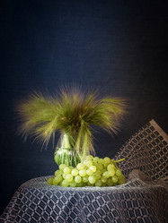 Similar image 13271247