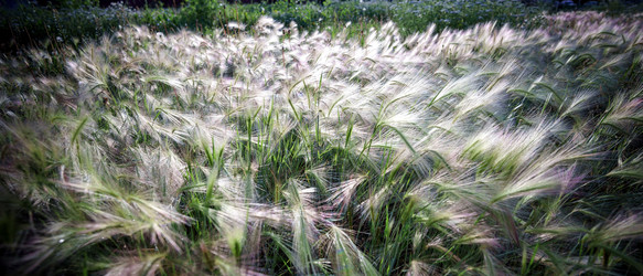 Similar image 13271248