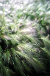 Similar image 13271249