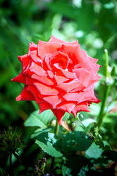 Similar image 13271250