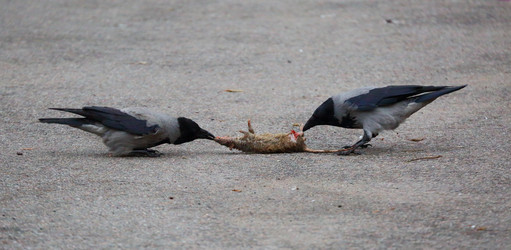 Similar image 13274095