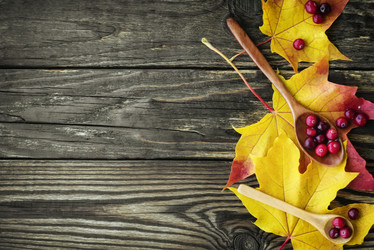 Similar image 13274129