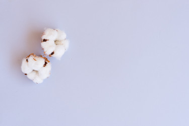 Similar image 13281662