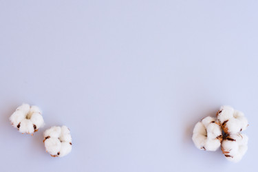 Similar image 13281664